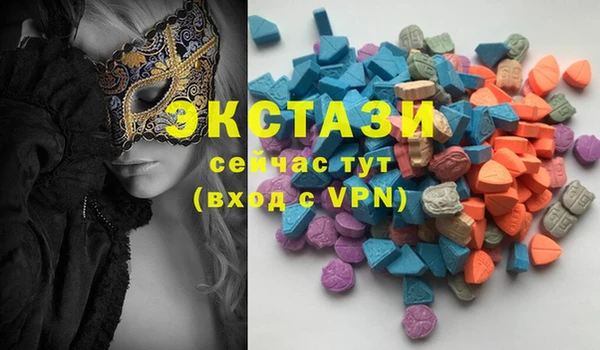 твердый Аркадак