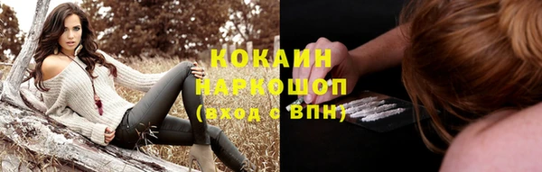 твердый Аркадак