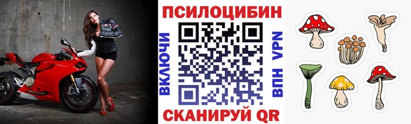 Псилоцибиновые грибы GOLDEN TEACHER  Сорочинск 