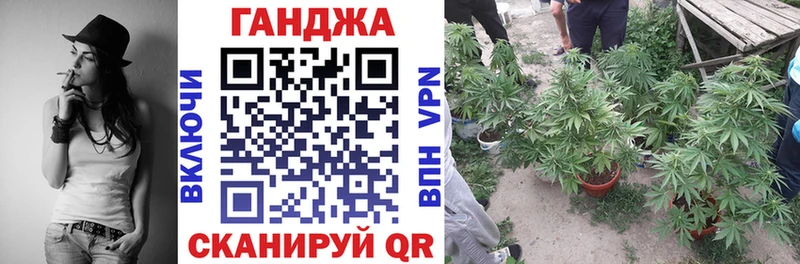 купить наркотик  Сорочинск  Конопля индика 